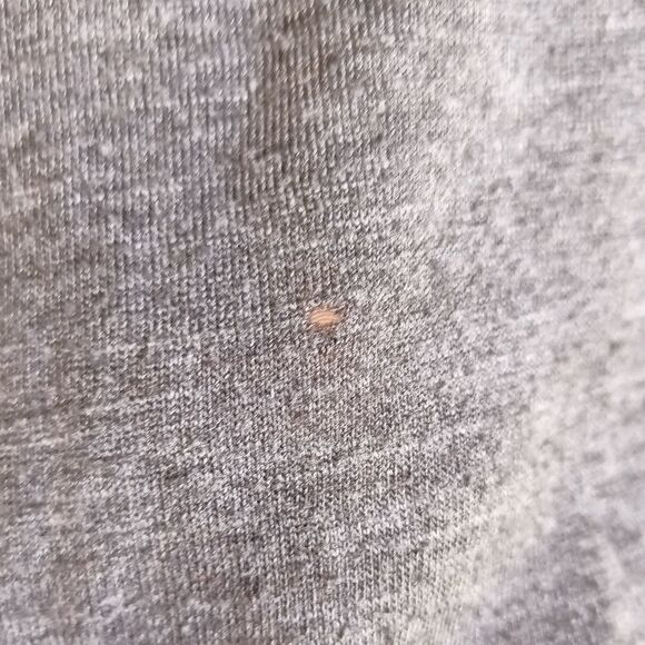 Smokey grey Torrid top , spring 2015 - Picture 3 of 6